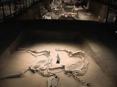 -洛阳周王城天子驾六博物馆