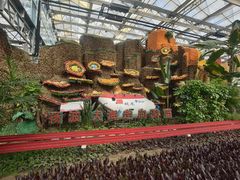 -兰陵国家农业公园