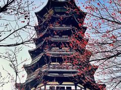 -洋湖国家湿地公园