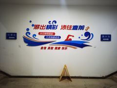 -重庆市奥林匹克体育中心-游泳跳水馆