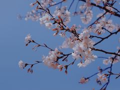 -永乐路-路侧停车场