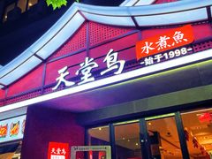 -天堂鸟水煮鱼·品质川菜(凤凰路店)