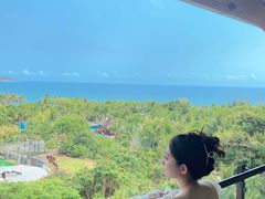 -三亚海棠湾万丽度假酒店