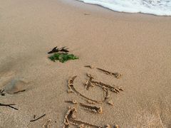 -碣石国家级海洋公园