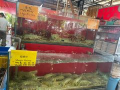 -大树下海鲜饭店