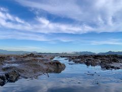 -深圳湾公园(南山区)