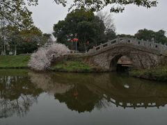 -太子山公园(园东路)