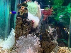 -太平洋海底世界