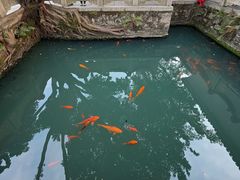 -墨池公园