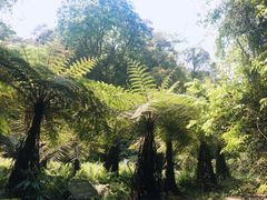 -保利石象湖景区