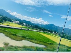 -黄牛肉馆·皖南土菜