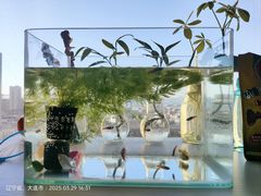 -香炉礁家具市场