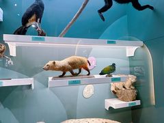 -国家自然博物馆