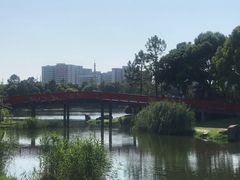 -美兰湖景区