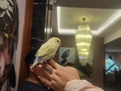 -维园悦谱·海派家常菜(乌鲁木齐南路店)