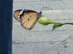 -云溪植物园