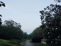 -惠王陵(地铁站)