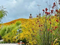 -六鼎山文化旅游区