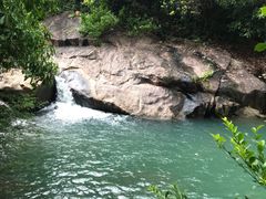 -广州白江湖森林公园