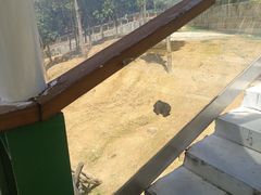 -泉州海丝野生动物世界