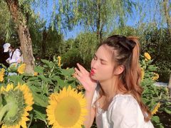 -艾溪湖湿地公园