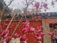 -红螺寺