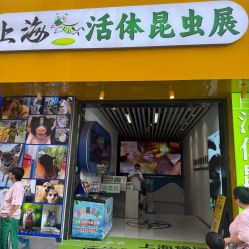 -神奇动物撸宠馆·羊驼·小浣熊·异宠(豫园店)