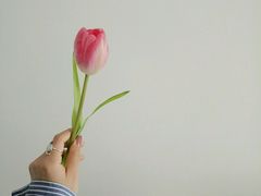 -双季花艺园艺市场(浦东店)