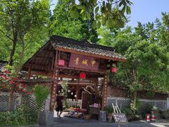 -青城甲(青城山店)