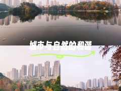 -重庆彩云湖湿地公园