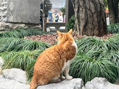 -龙华寺