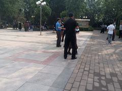 -丰台科技园生态主题公园
