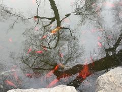 -泉城欧乐堡海洋极地世界