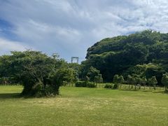 -济州森林小火车生态公园