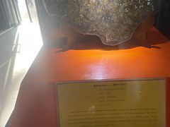 -紫金山天文台