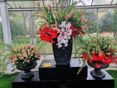 -上海鲜花港