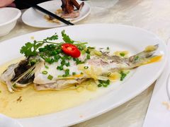 -有腥气私房菜·寻味顺德