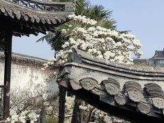 -何园