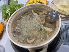 -蘑统田下·野生菌火锅