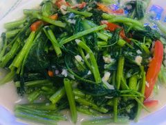 炒空心菜-澳门陈光记烧味饭店(郎家园店)