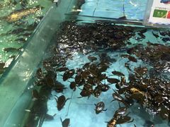 -渔民新村(番禺总店)