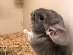 -龙猫仔乐园(惠福东路店)