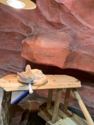 -Zoolung Zoolung动物主题公园(海信广场店)