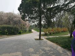 -渭滨公园