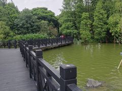 -海珠湖公园