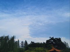 -皖北巫氏三胖地锅鸡(长淮总店)