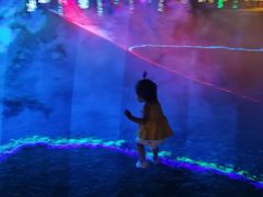 -广东花都香草世界旅游度假区