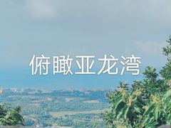 -三亚亚龙湾人间天堂鸟巢度假村