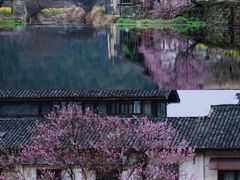 -婺源风景区