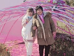 -荷兰花海